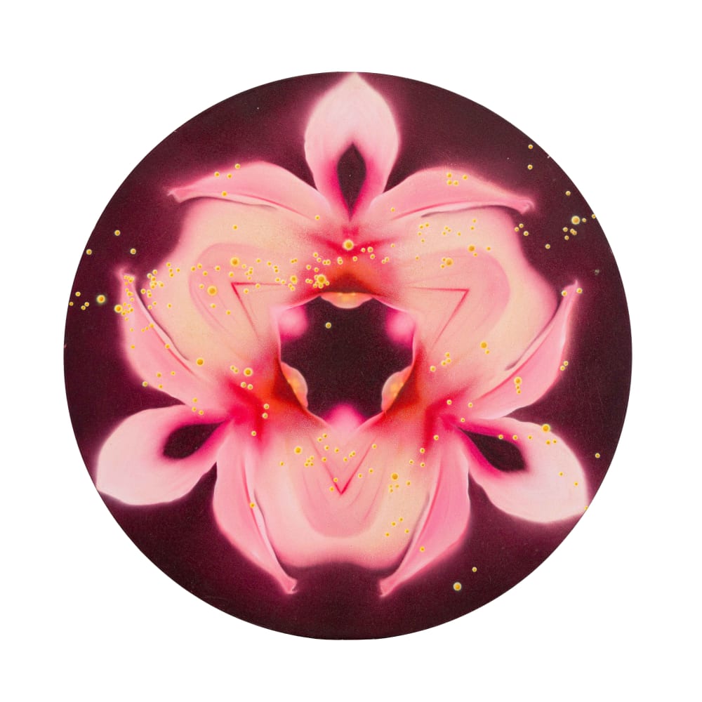 Wildflower II
